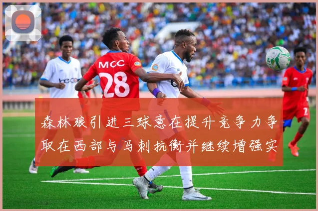 森林狼引进三球意在提升竞争力争取在西部与马刺抗衡并继续增强实力